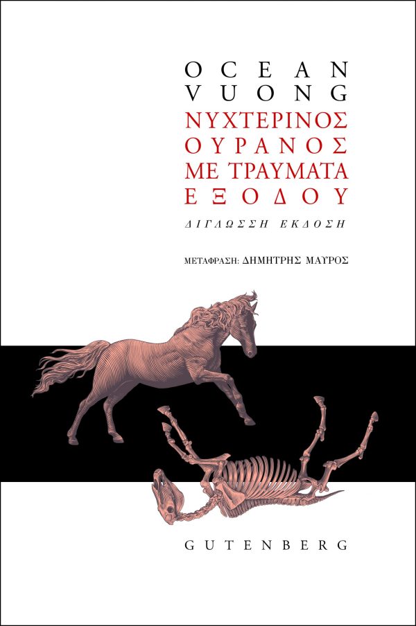 εξώφυλλο Νυχτερινός Ουρανός με Τραύματα Εξόδου